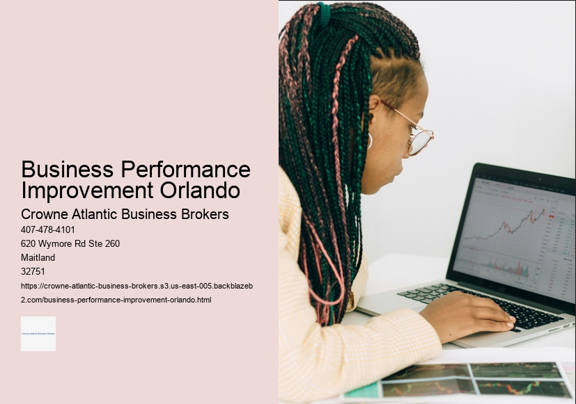 Business Performance Improvement Orlando