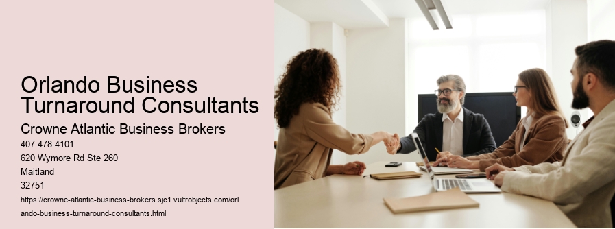 Orlando Business Turnaround Consultants